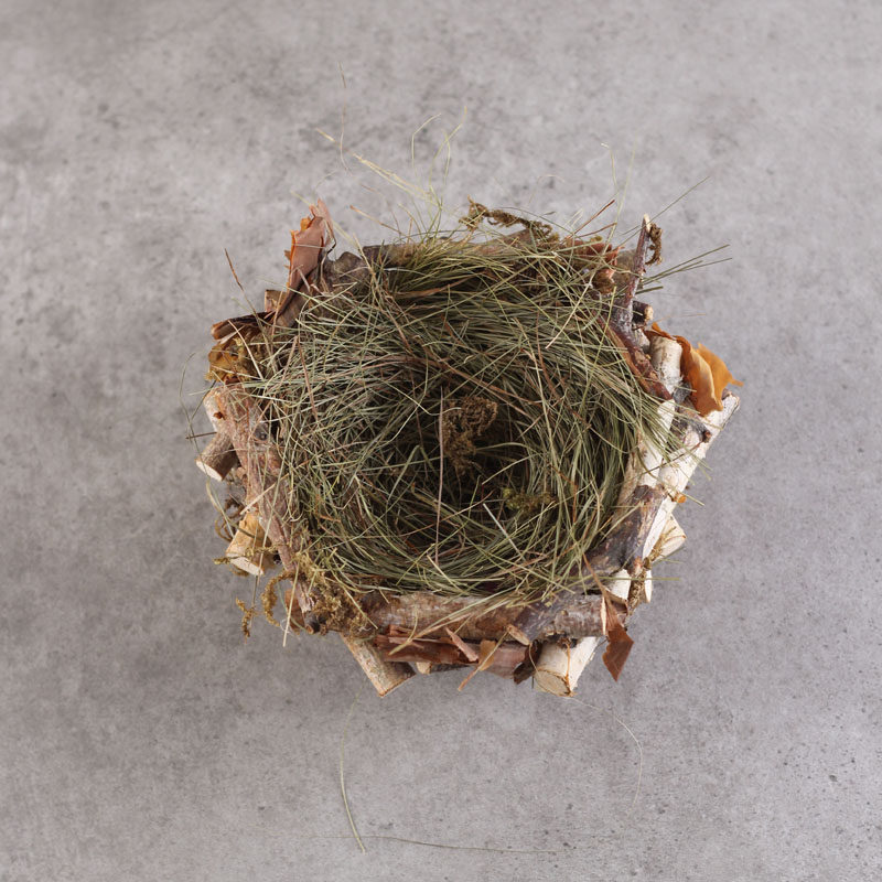 森系田园桦树树枝稻草鸟窝鸟蛋鸟屋陈列布景摆件