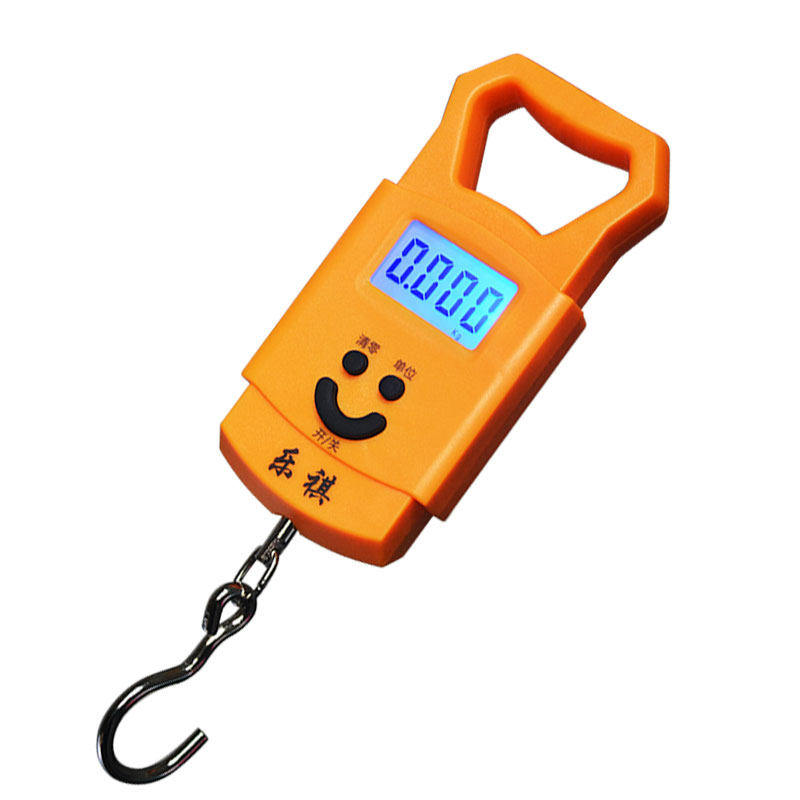 弹簧秤手提电子秤勾子称手提秤高精度50kg家用弹簧称便携式小型