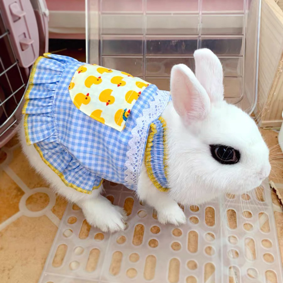 衣服兔子裙子宠物可爱安哥拉巨兔侏儒兔猫猫猫狗宠物服装