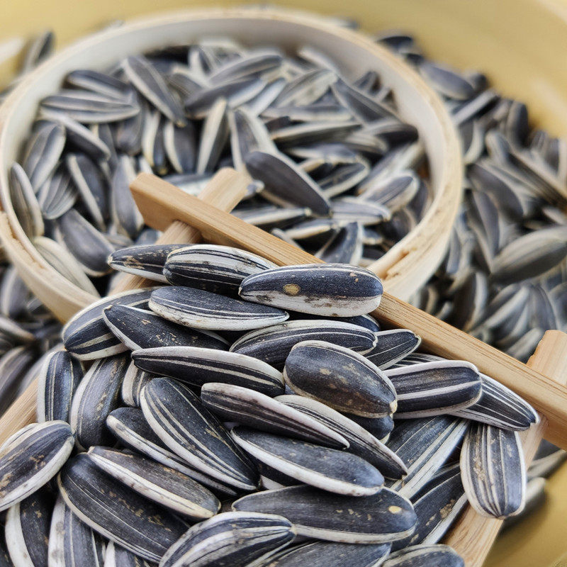 炒熟瓜子内蒙古河套五原县铁锅葵花花子原味毛嗑瓜子