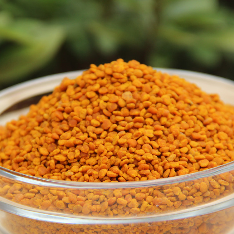 新鲜纯茶花粉茶叶花粉天然蜂花粉未破壁蜂场直采500g正品