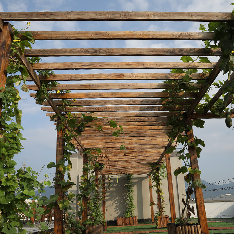 防腐木葡萄架户外庭院简易爬藤架子别墅休闲亭子室外花园长廊凉亭