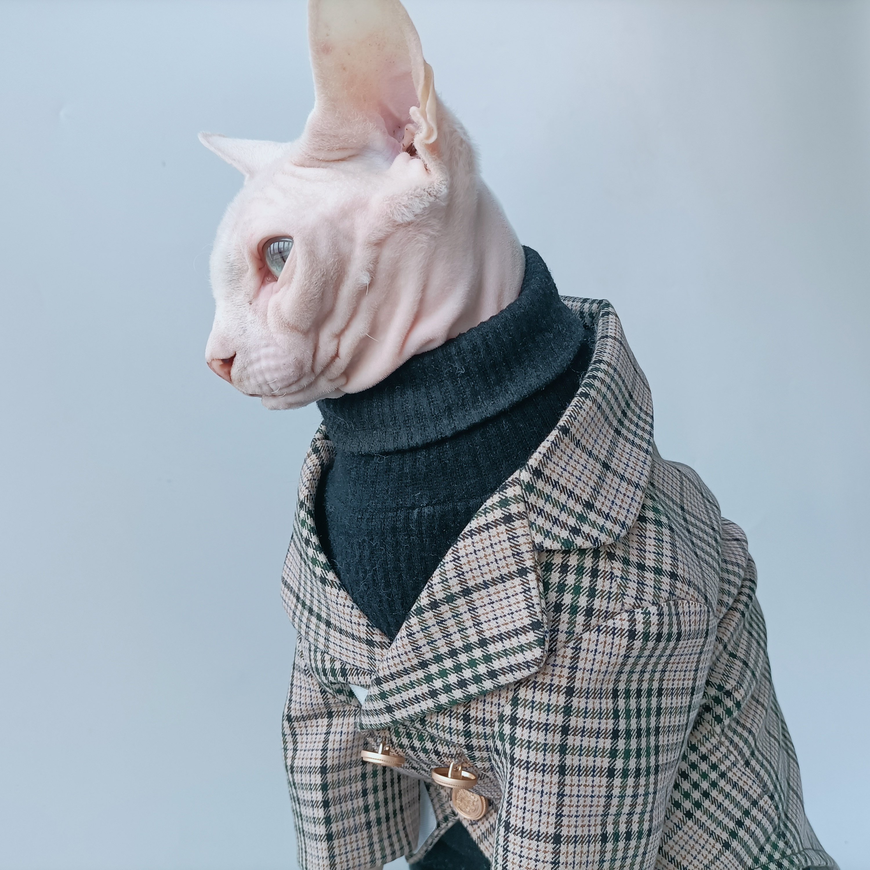 宠物西装纸样猫咪外套绅士衣服图纸西服结婚宠物服装