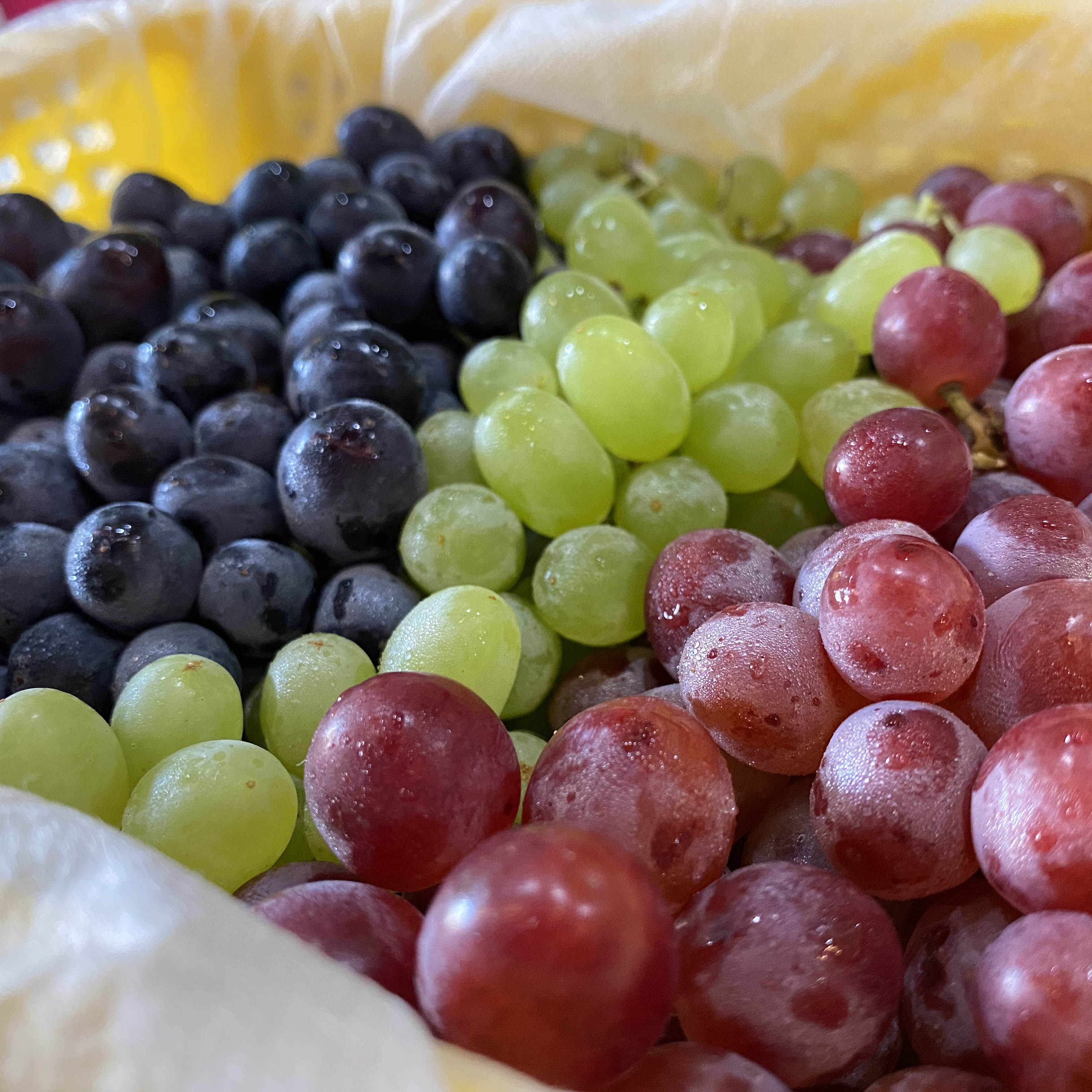 葡萄新疆马奶子5斤奶子水果无籽吐鲁番当季应当葡萄