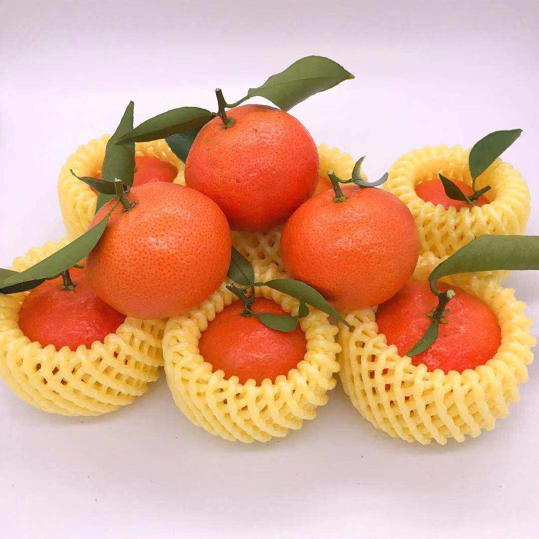 应季10斤桔子大桔无核水果孕妇新鲜橘现沙糖桔子