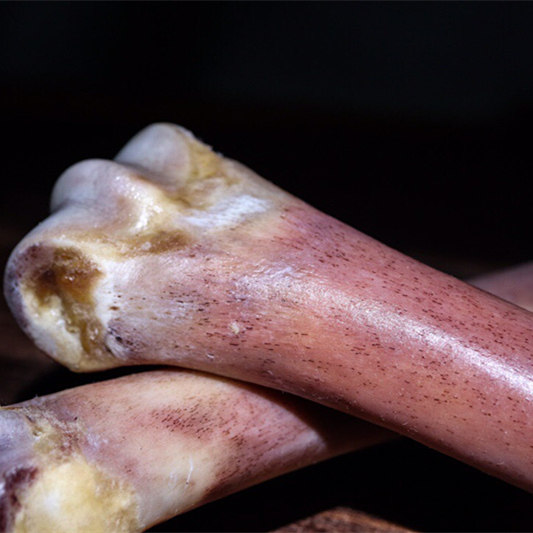 收藏文玩天然骆驼腿骨棒骨满血蝌蚪纹玉化血摆件