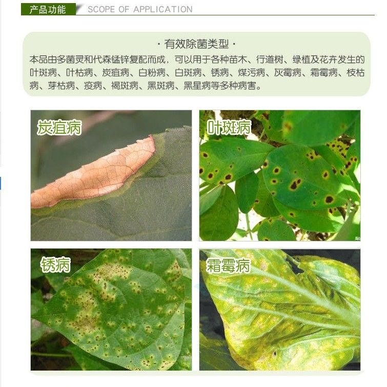 国光英纳多菌灵代森锰月季黑斑炭疽病多肉霉烟杀菌剂