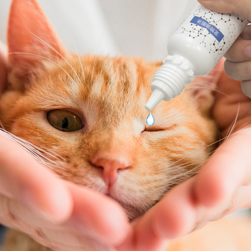 滴眼猫咪眼部清洁眼水护理眼睛宠物狗狗狗宠物眼部清洁
