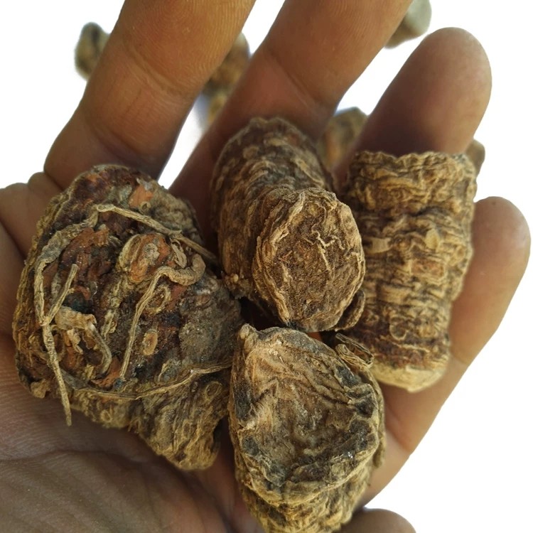 贵州雪里见干品野生中药材雪里见干货野包谷半截烂烂半截50