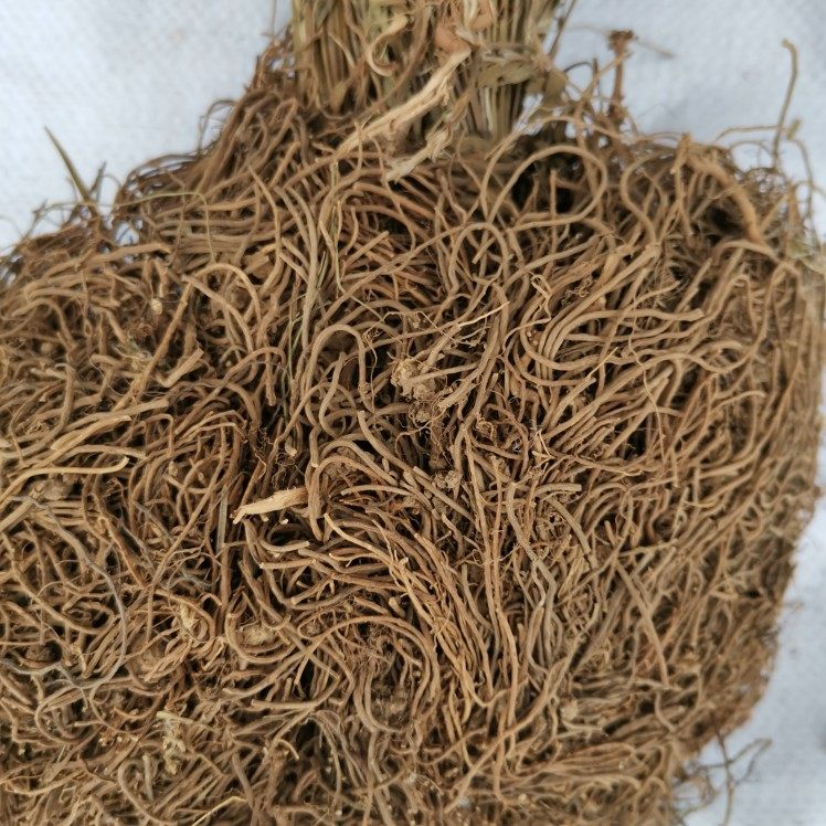 贵州省野生徐长卿500g包邮中草药药材竹叶细辛刁竹传统滋补品其他