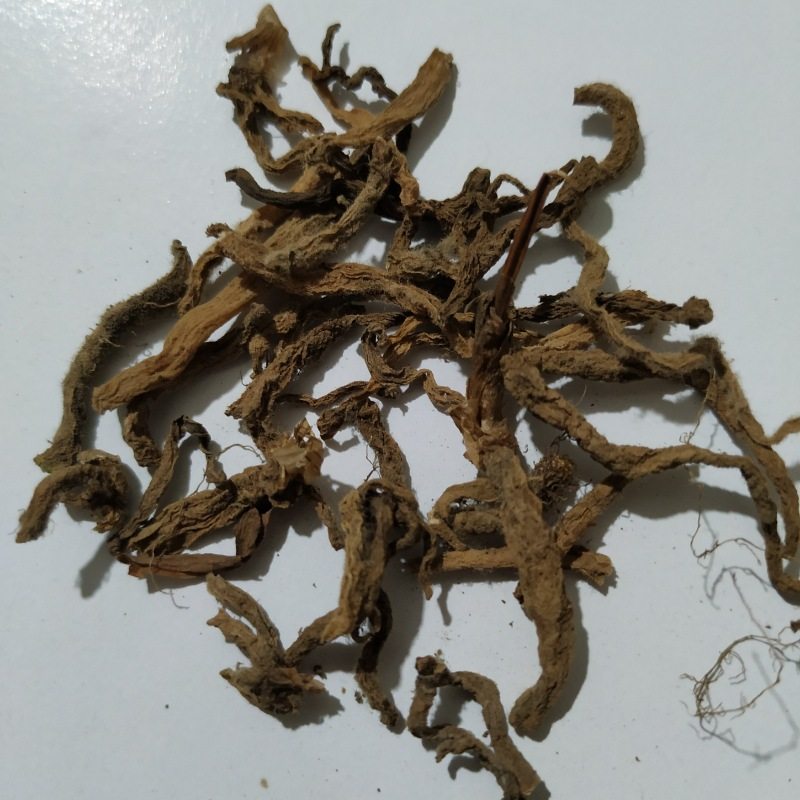 贵州野生盘龙参根龙抱柱镰刀草海海珠草龙盘旋传统滋补品其他