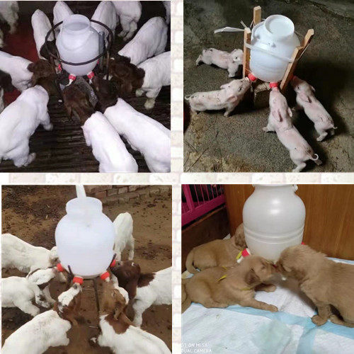 婴儿级硅胶奶嘴伟昌羔羊哺乳器喂奶器补奶机奶壶专用100只包邮