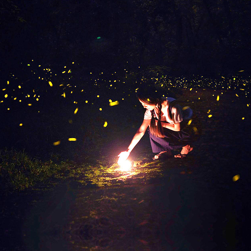 萤火虫亚庇美人鱼岛 kawa 马来西亚旅游 沙巴红树林一日游 浪花朵朵