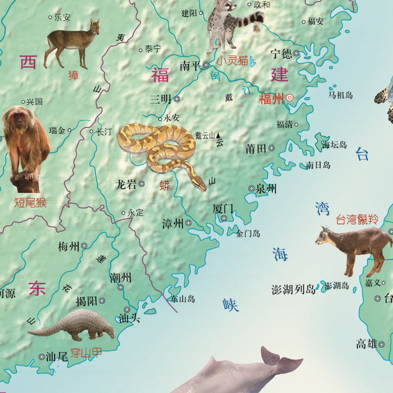 中国地图野生动物少儿知识地图挂图超大2018版书房贴图用立体3d动物