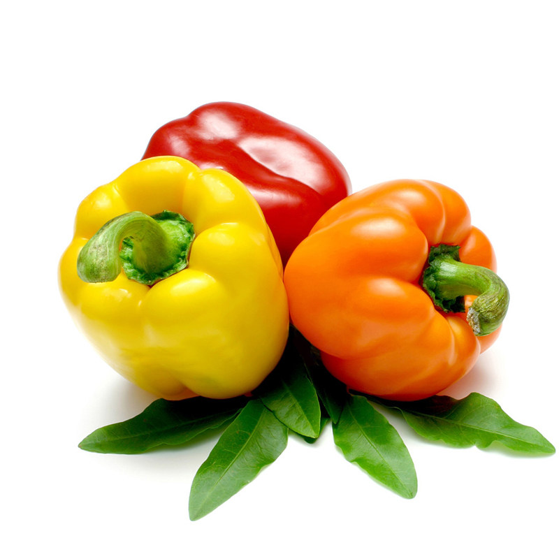 五彩甜椒种子灯笼圆形方椒四季蔬菜菜籽阳台家庭园艺种子