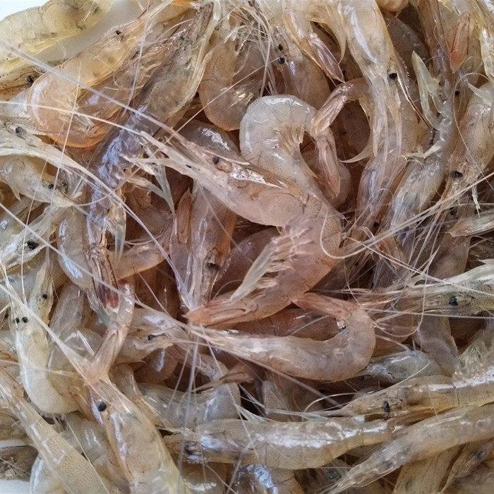 青岛小河鲜活小白新鲜野生冷冻明虾2斤包邮冻虾