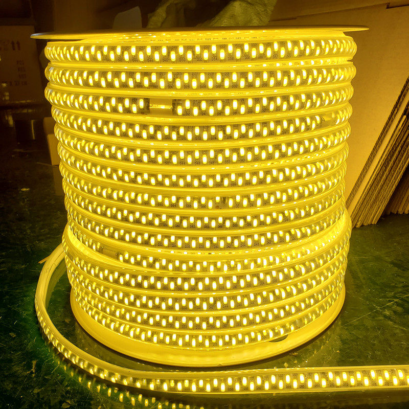 宝利格100米装 220v外墙亮化别墅灯带防水led 户外长条工地隧道超