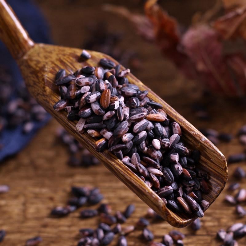 糯米云南新大米紫米非墨江大米煮粥杂粮2斤农家糯米