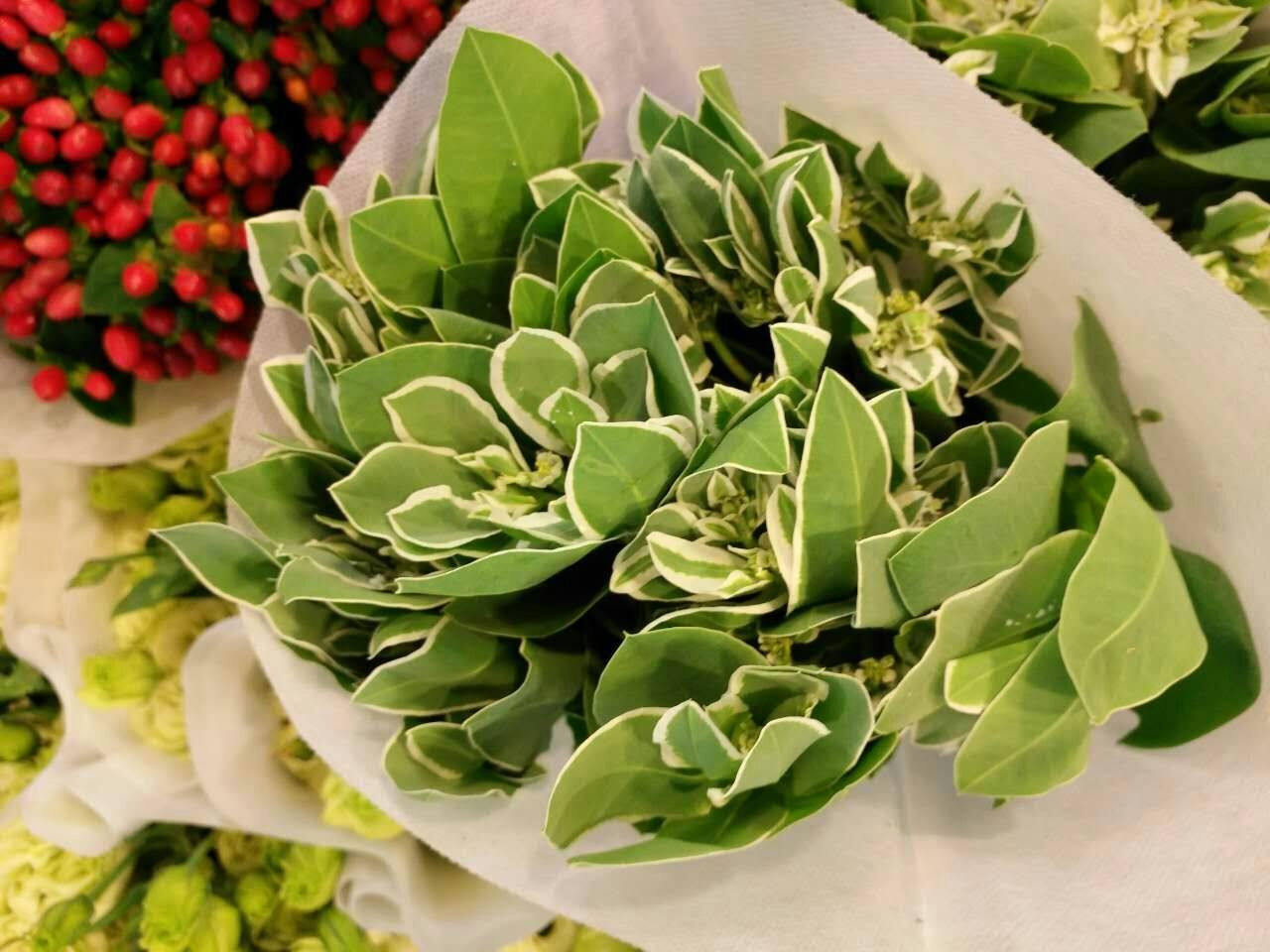 鲜花基地直供直发云南昆明叶上花黄金水养家用同城速递上海广州斗