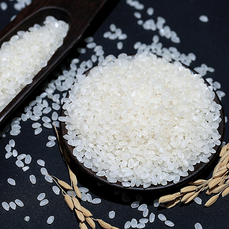 大荒荒地贡米小町米东北吉林现磨新米5kg10真空大米