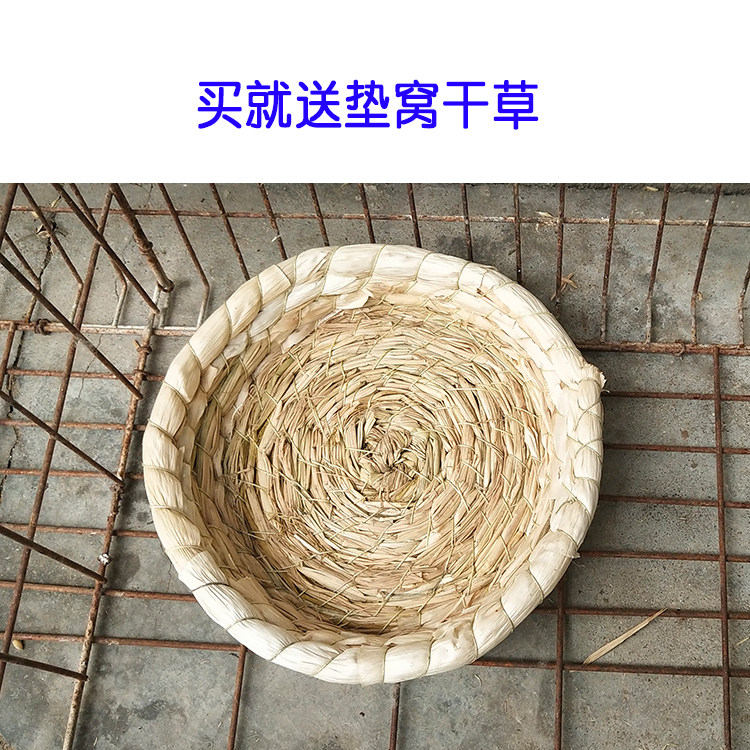 玄风鸟窝天然草窝冬天保暖玄凤鹦鹉繁殖睡觉其他