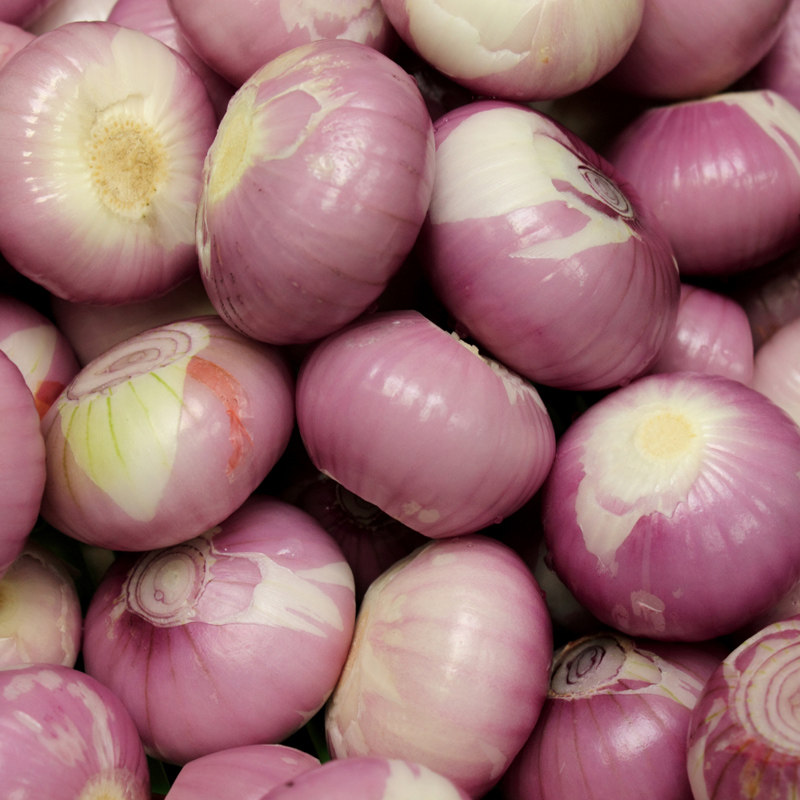 日落篱园去皮葱头紫皮小洋葱新鲜迷你洋葱头500g其它