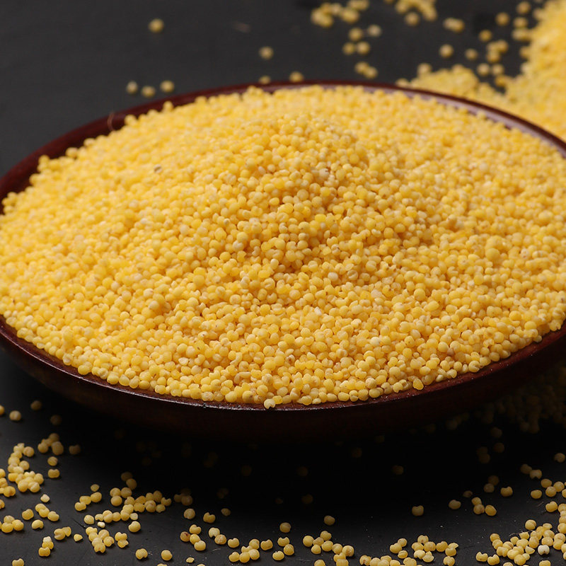 小米新米黑龙江黄小米500g肇源粗粮孕妇熬粥农家小米
