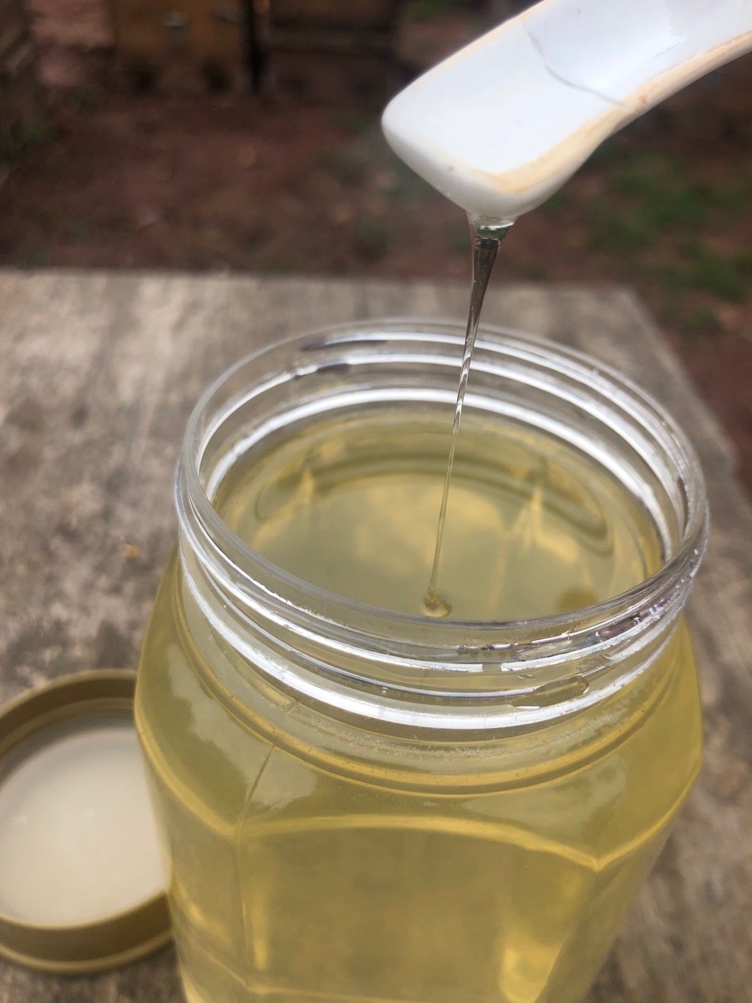 李美扬蜂蜜槐花蜜1000克蜂农自产纯蜂蜜