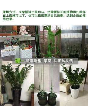 Money tree support rod plant fixed flower stand climbing pergola balcony flower pot bracket gardening flower pot support rack