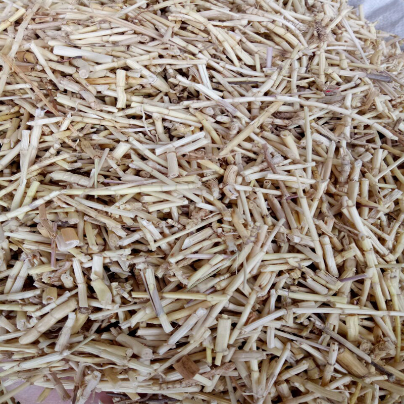 据笔者查阅有关丝茅根的药用价值记录如下,丝茅根性质属寒,比较适合