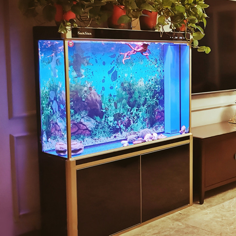 森森大型鱼缸水族箱免换水客厅风水招财小型家用下过滤底滤鱼缸