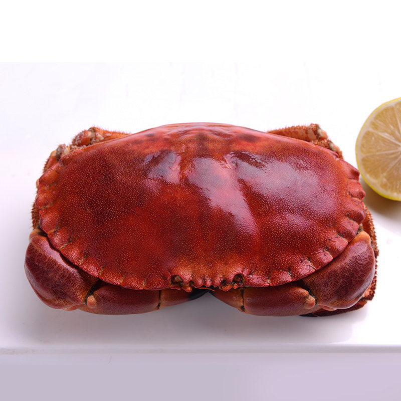 面包超大2只蟹即珍宝蟹黄黄金野生熟冻黄道黄金蟹