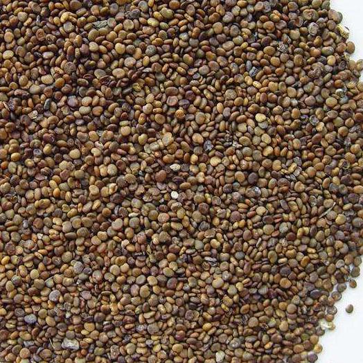 沙苑子2斤包邮沙苑蒺藜沙苑籽潼蒺藜中药材供应500g克
