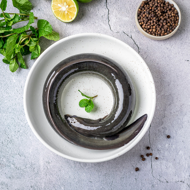 野河鳗活生鲜体蒲烧白鳝鱼新鲜现杀淡水养殖白鳗送礼品年夜饭