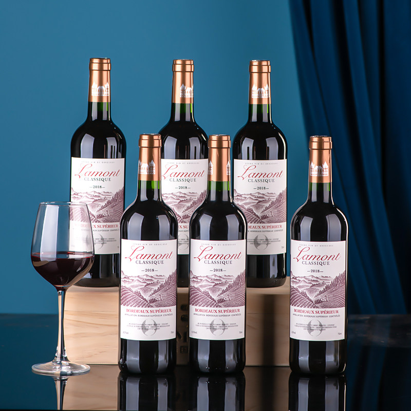 拉蒙法国进口红酒超级波尔多aoc等级干红葡萄酒双支礼盒节日送礼