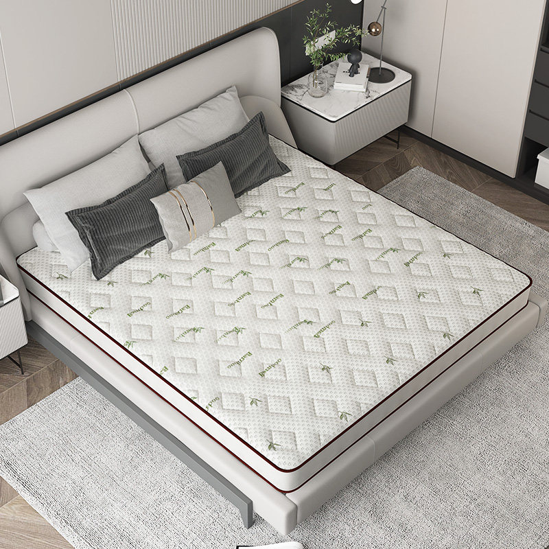 亿隆弹簧床垫棕垫席梦思天然乳胶椰棕软硬两用弹簧床垫