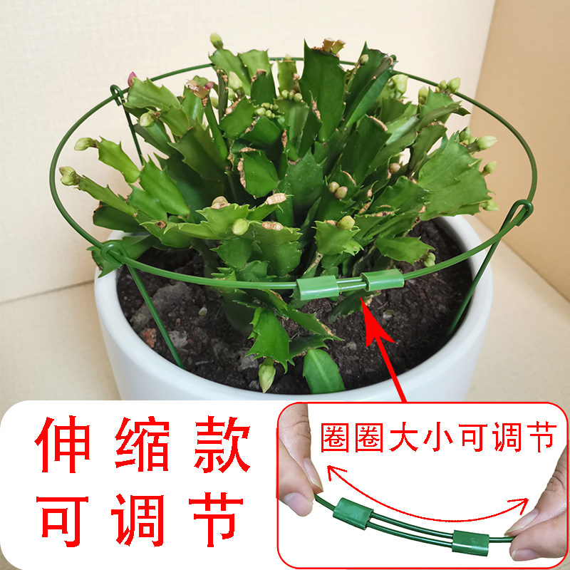 花架蟹爪兰支架子可伸缩大小嫁接兰花单层支撑花架