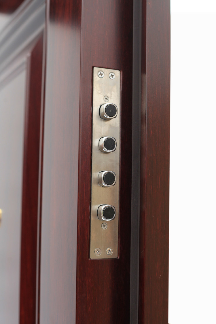 甲级防盗门甲级子母门c级锁芯指纹锁进户门安全门钢质门霸王锁体