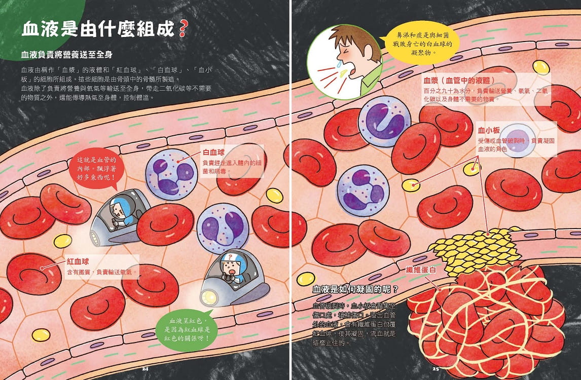 预售泌尿系绘本儿童血管心脏肌肉骨骼肌骨骼系统原版其它