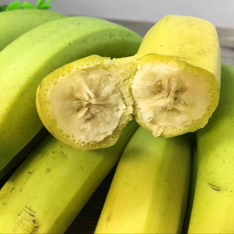 广东高州香蕉banana新鲜水果无催熟剂非海南米蕉粉蕉芭蕉3斤包邮