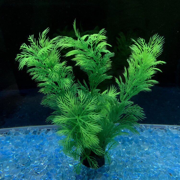 水草新品柔软塑料鱼缸仿真装饰品绿色水芹多个造景