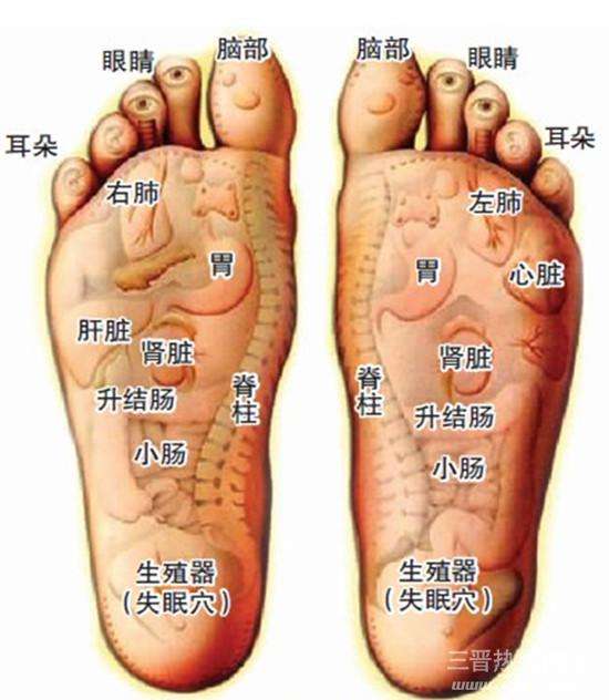 脚底的准确位置图图片