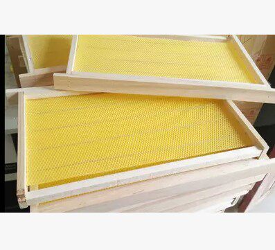 八千巢础中蜂成品巢框装好巢础巢脾蜂巢杉木蜂箱专用全套养蜂工具