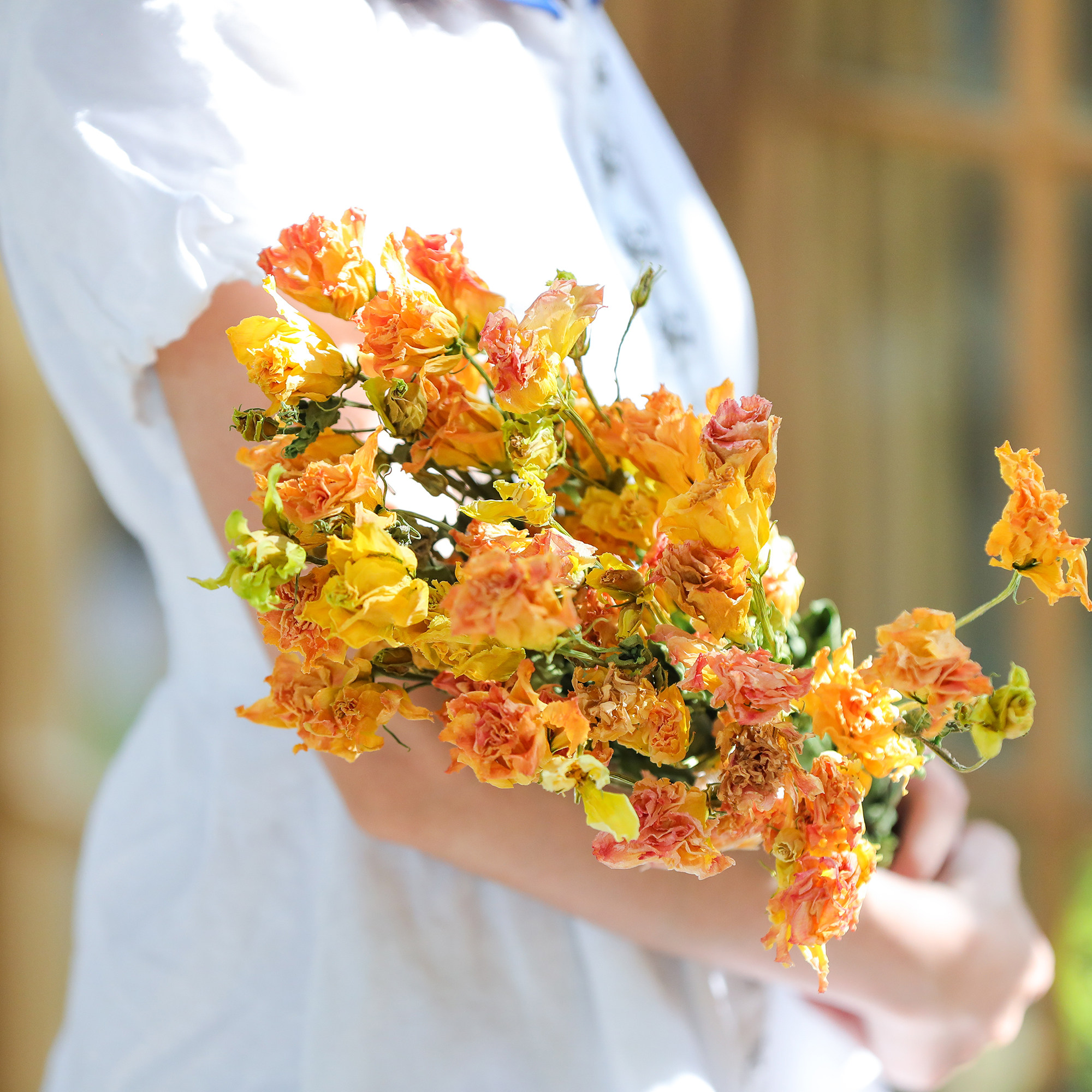 四季珍集洋桔梗干花天然风干ins风森森系自然干花