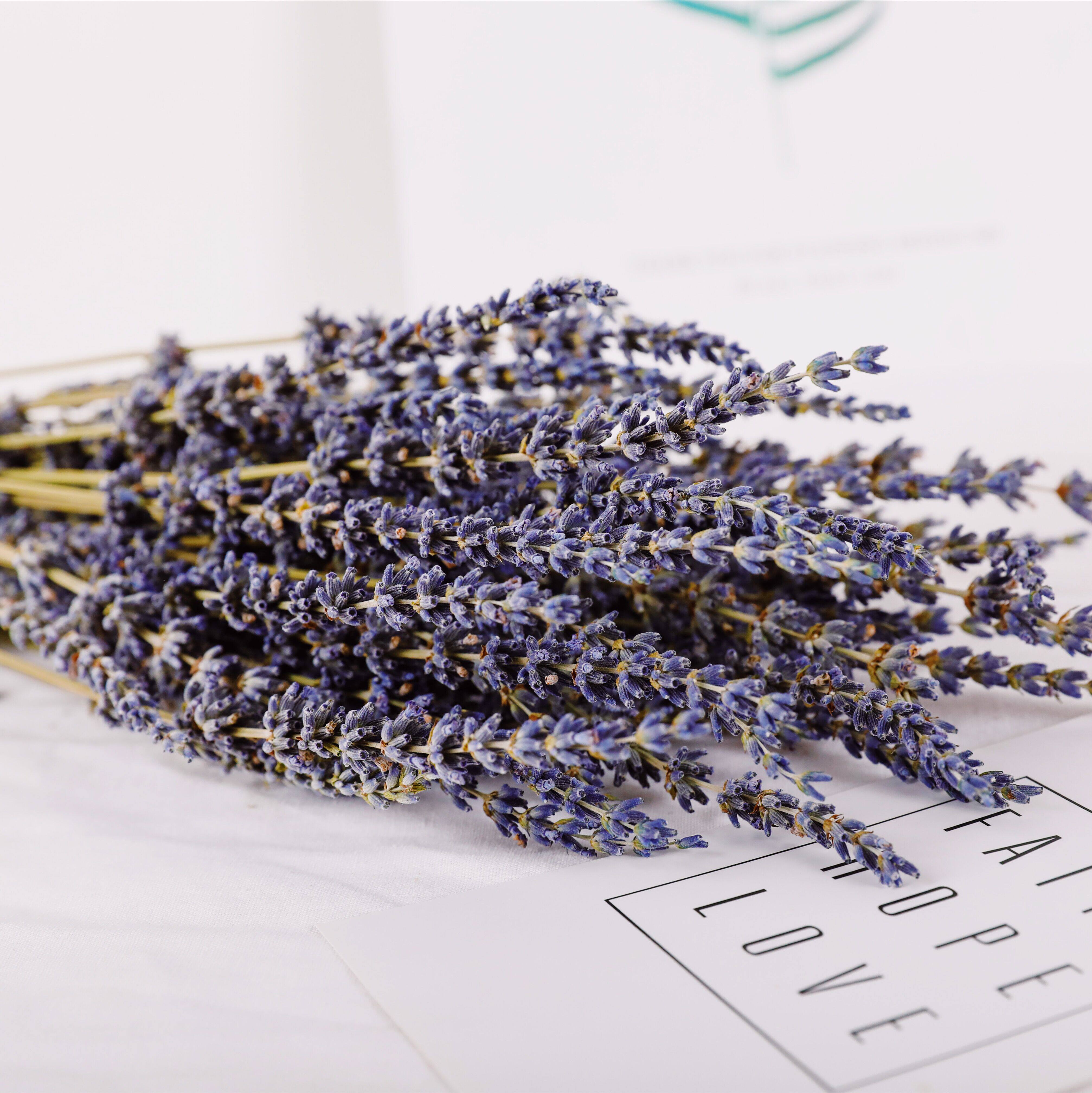 四季珍集薰衣草干花花束香味味浓文艺风艺风装饰干花