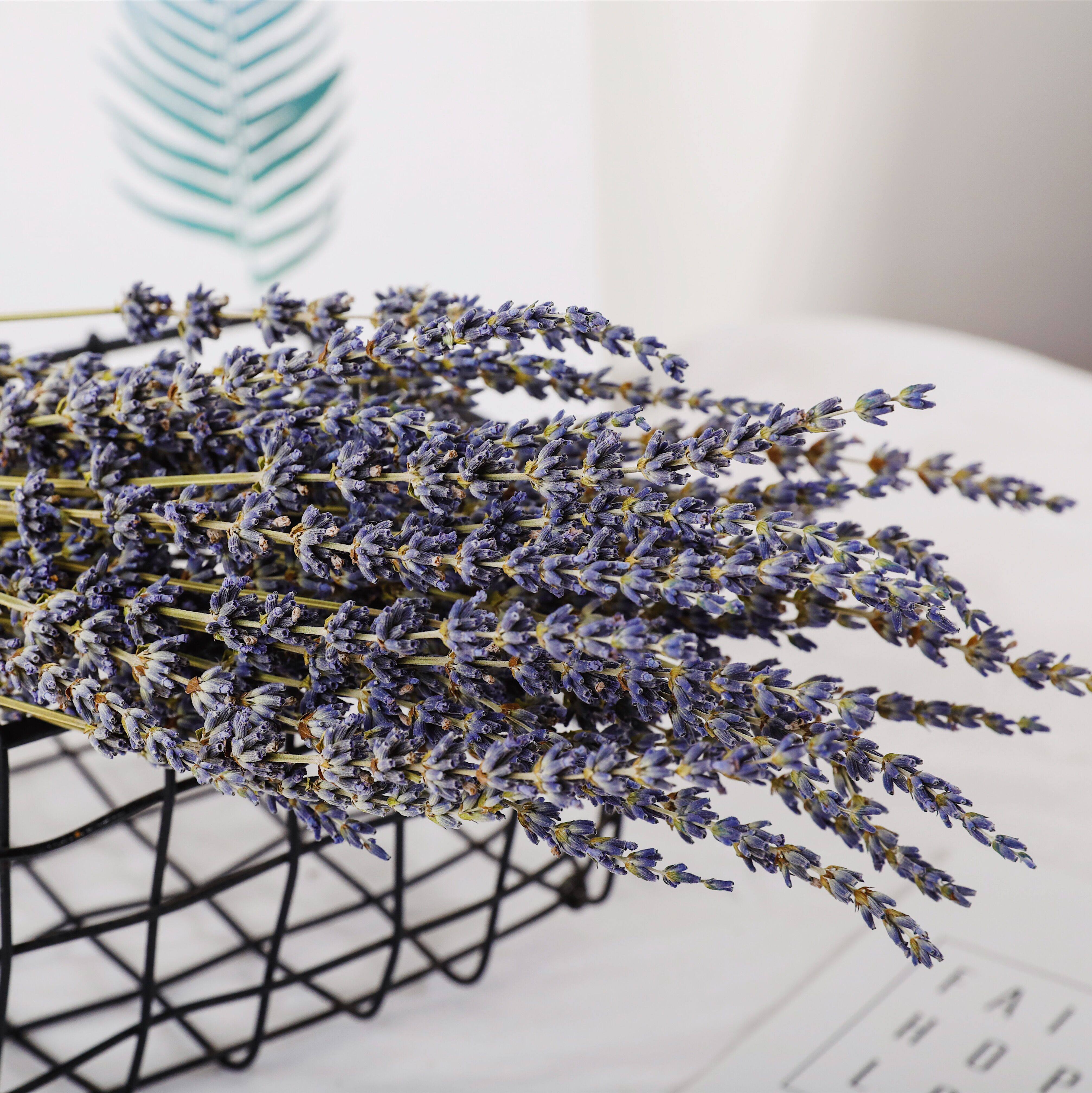 四季珍集薰衣草干花花束香味味浓文艺风艺风装饰干花