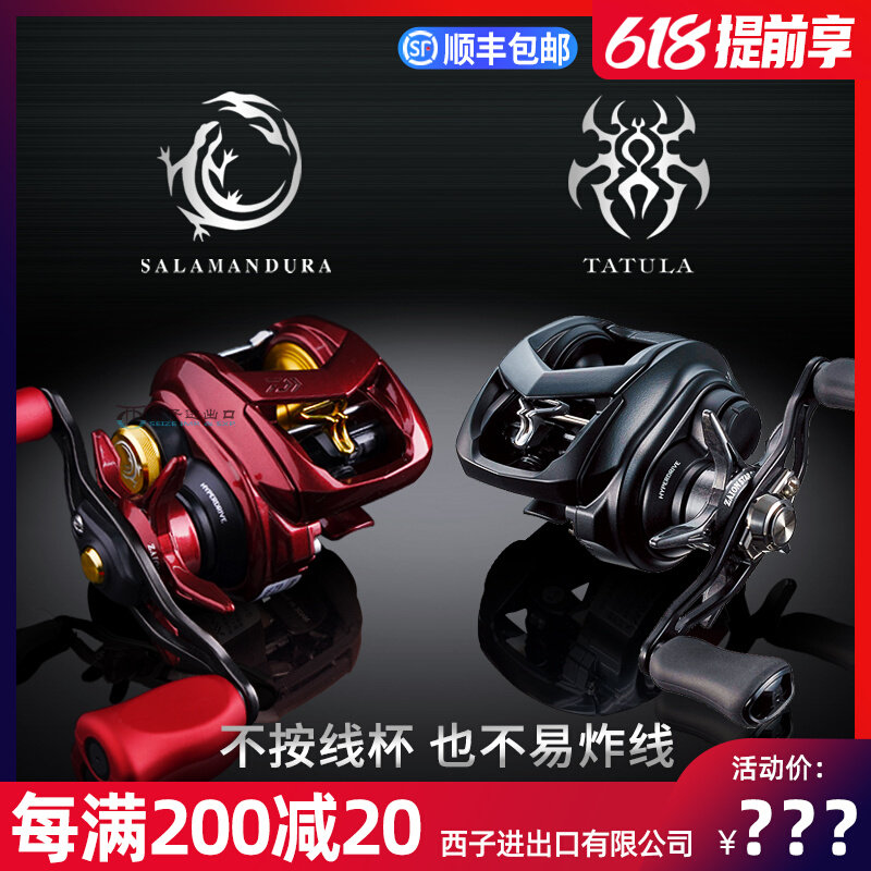 达瓦水滴轮红蜘蛛DAIWA打黑蜘蛛小大达亿瓦SV防炸线火蜥蜴路亚轮