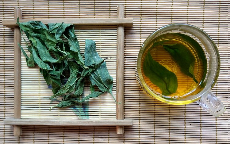 海南五指山忧遁草黎王草优盾优顿草干叶鳄嘴花茶100克绿植