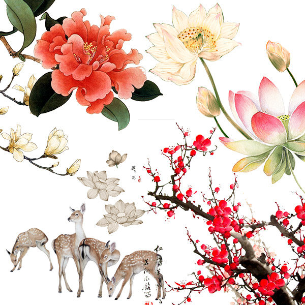 中国古风手绘工笔国画绘画花鸟png免抠图片设计素材