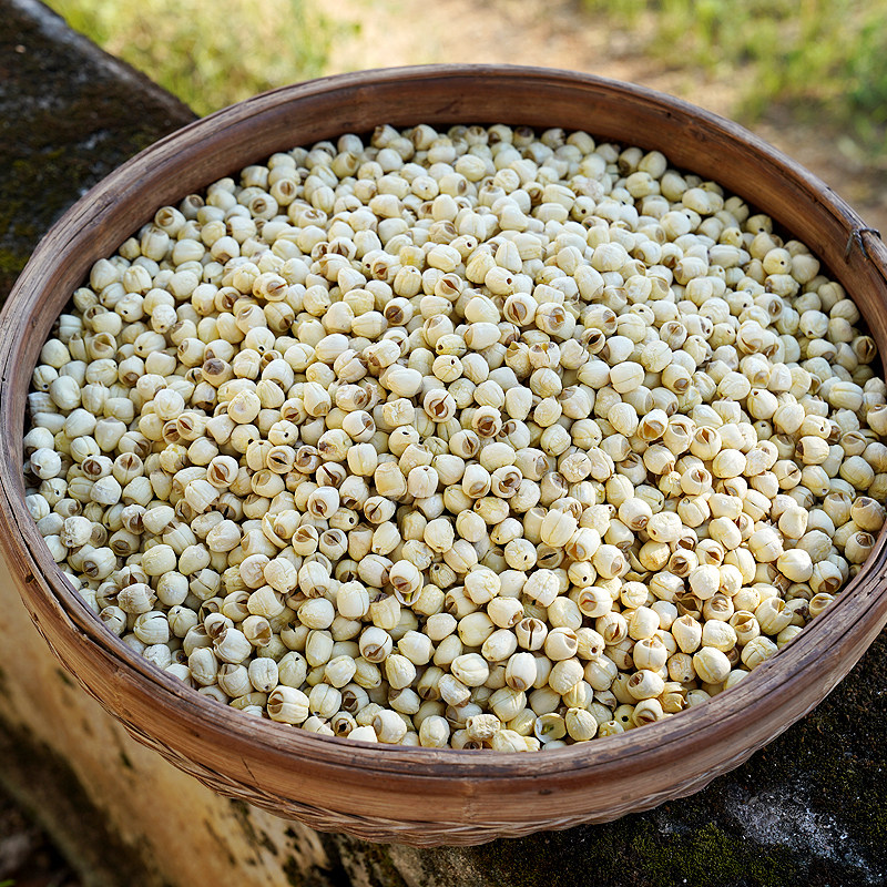 马小坏2020年江西广昌无芯特产白莲农家手工无硫莲子